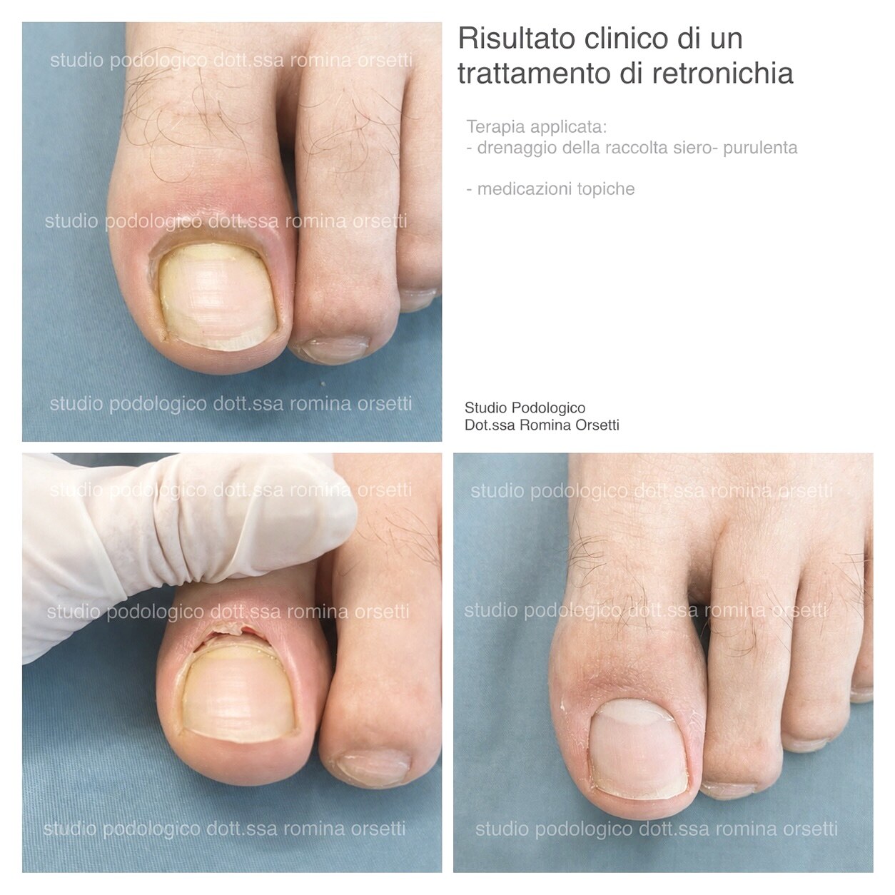 Retronichia &ndash; foto 4
